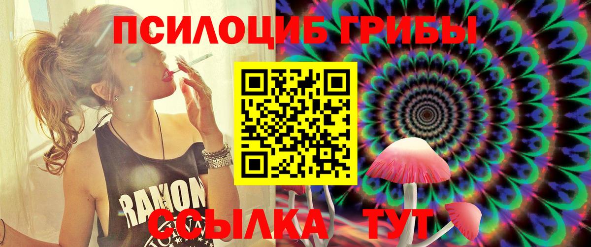 Новокубанск  Псилоцибиновые грибы GOLDEN TEACHER  Вход с VPN 
