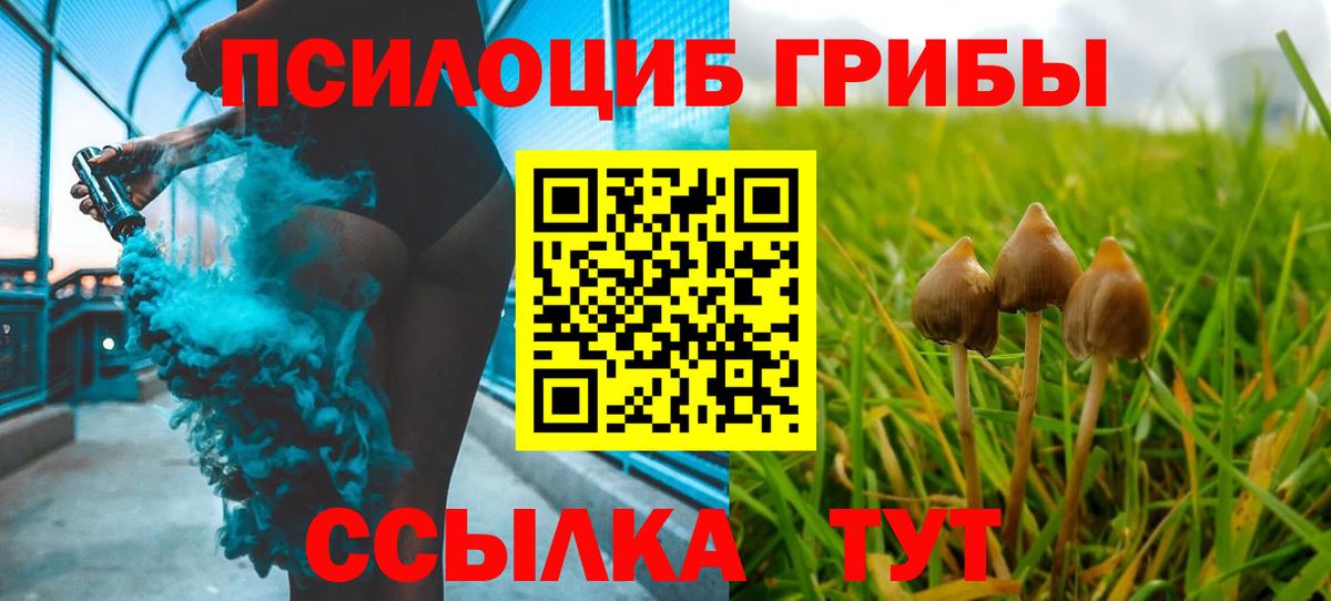 Псилоцибиновые грибы GOLDEN TEACHER Новокубанск
